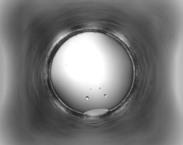 X0000086061119200704091223