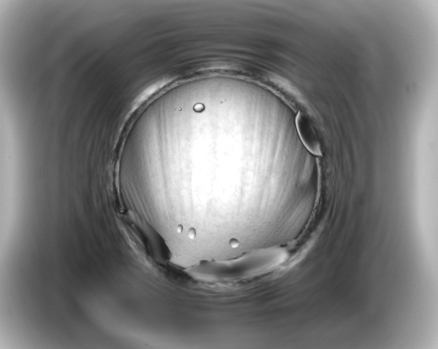 X0000086061121200704091223