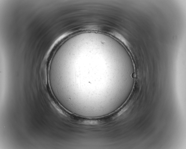 X0000086061123200704091223