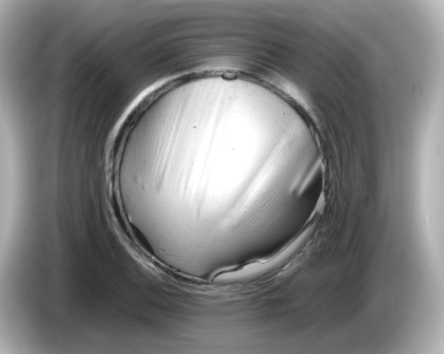 X0000086061124200704091223