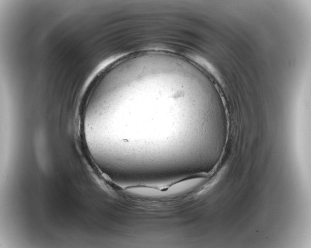 X0000086061125200704091223