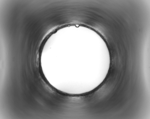 X0000086061126200704091223