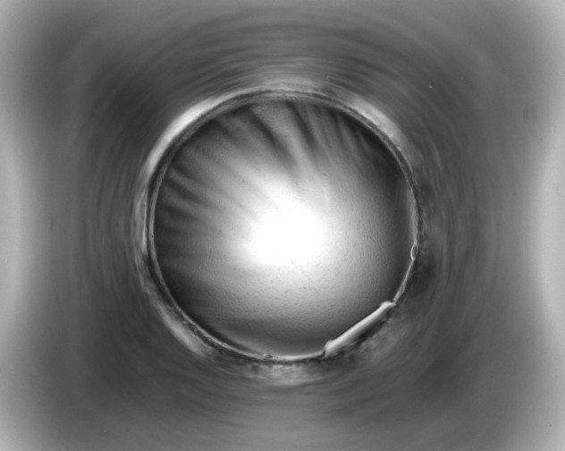 X0000086061128200704091223