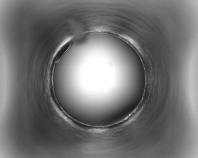 X0000086061134200704091223