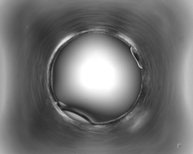 X0000086061135200704091223