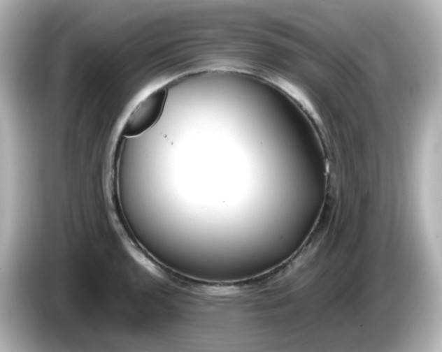 X0000086061136200704091223