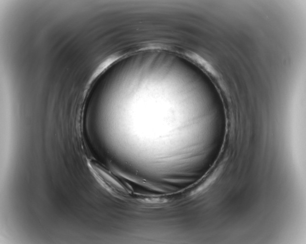 X0000086061137200704091223