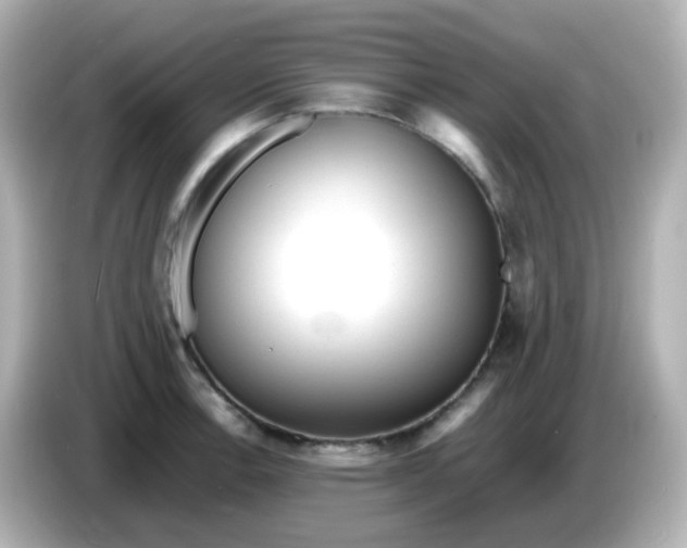 X0000086061138200704091223