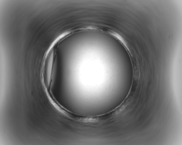 X0000086061139200704091223