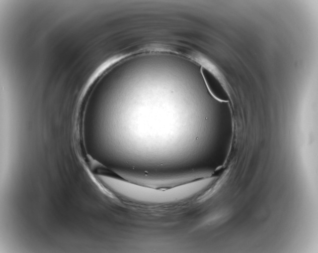 X0000086061141200704091223