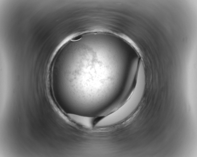 X0000086061142200704091223