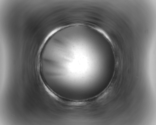 X0000086061143200704091223