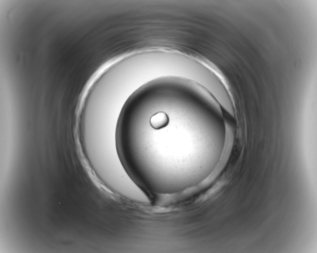 X0000086061144200704091223