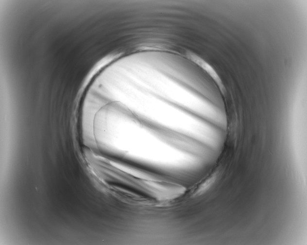 X0000086061146200704091223