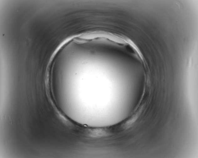 X0000086061149200704091223