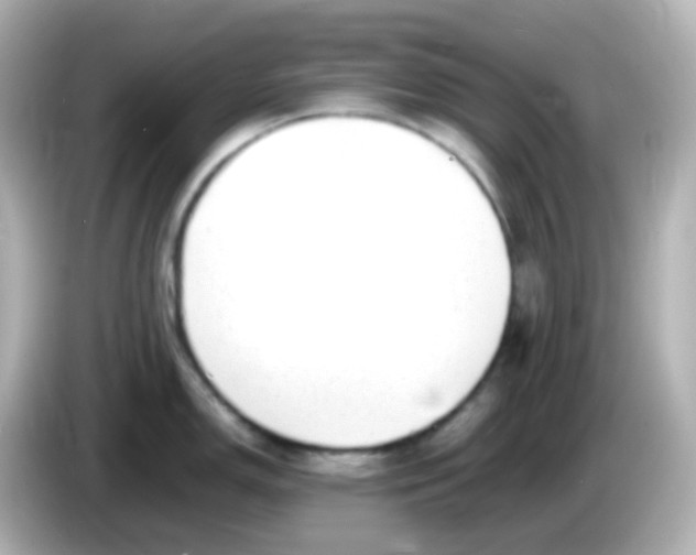 X0000086061150200704091223