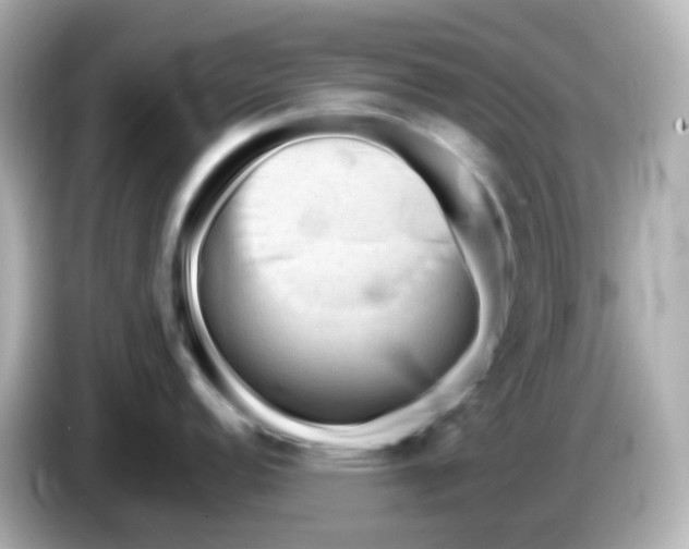 X0000086061152200704091223