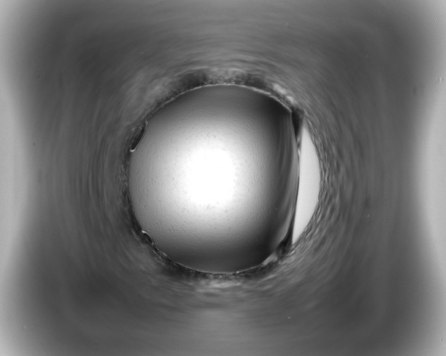 X0000086061153200704091223