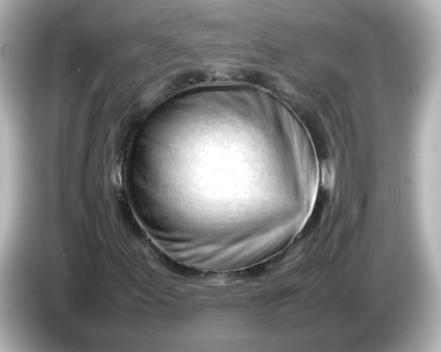 X0000086061155200704091223