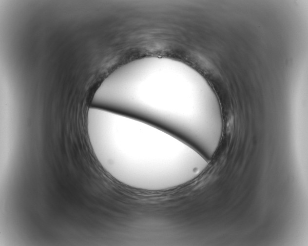 X0000086061156200704091223