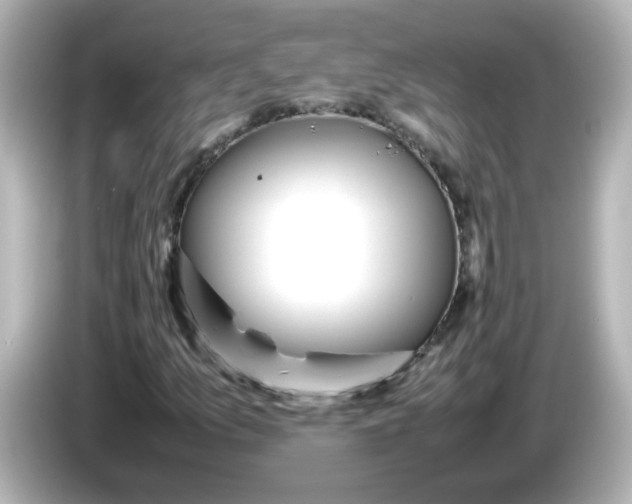 X0000086061157200704091223