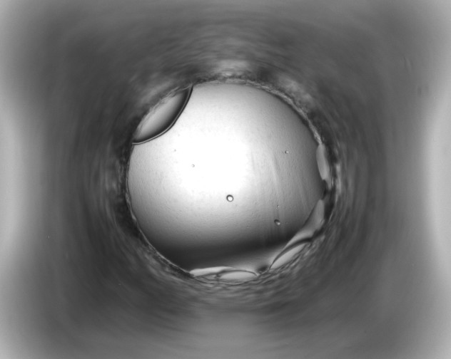 X0000086061158200704091223