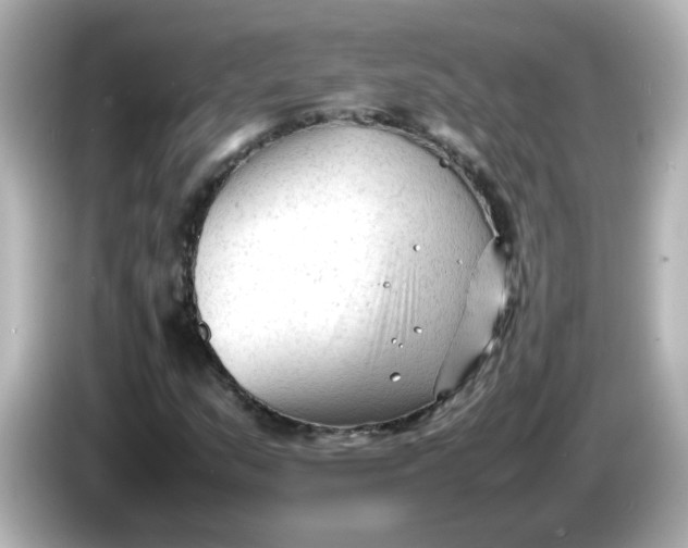 X0000086061159200704091223