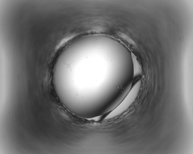 X0000086061160200704091223