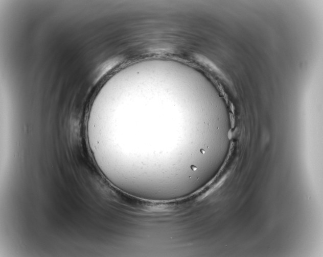 X0000086061162200704091223