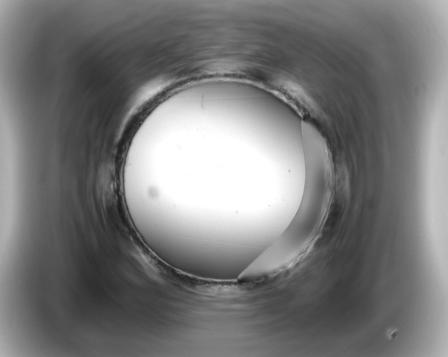 X0000086061164200704091223