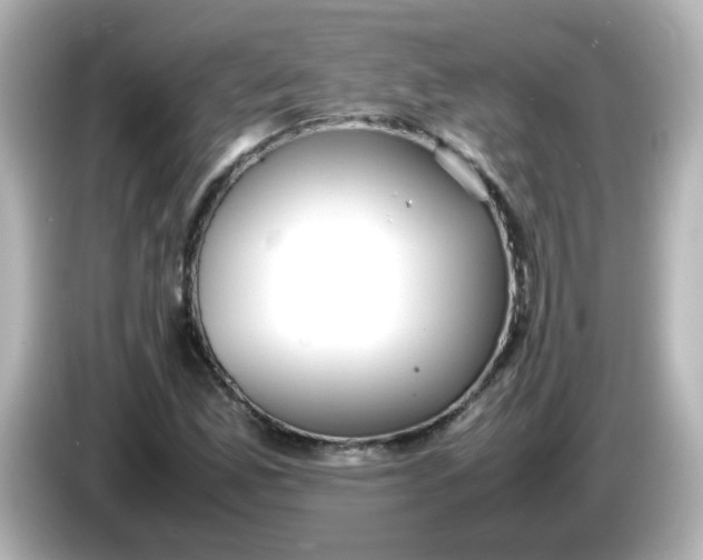 X0000086061165200704091223