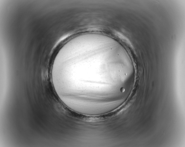 X0000086061166200704091223