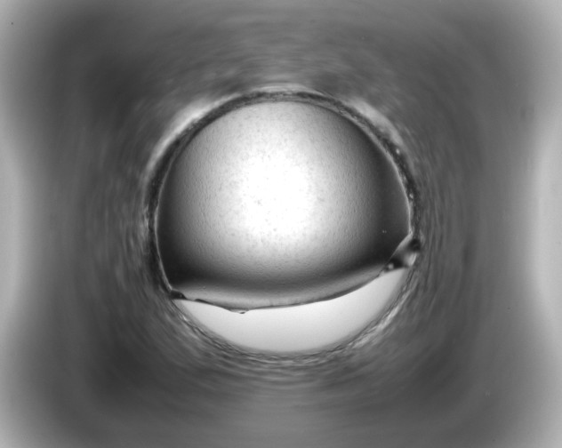 X0000086061167200704091222