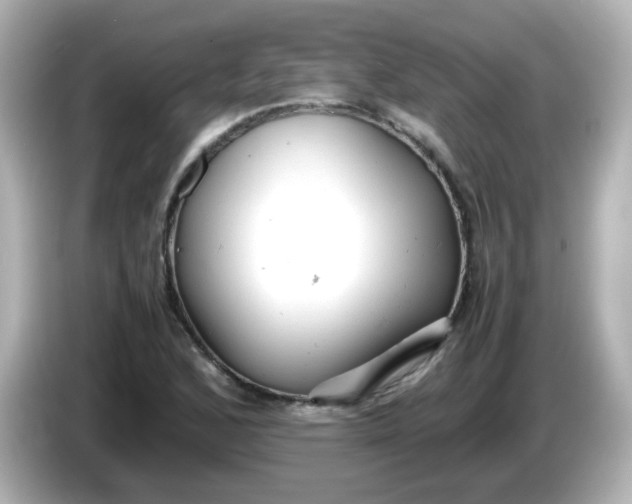 X0000086061168200704091222