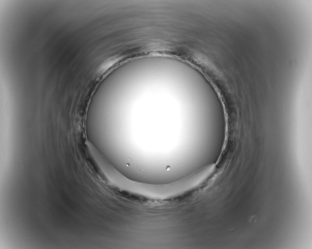 X0000086061169200704091222