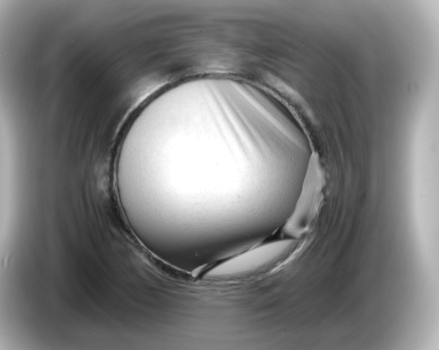 X0000086061170200704091222