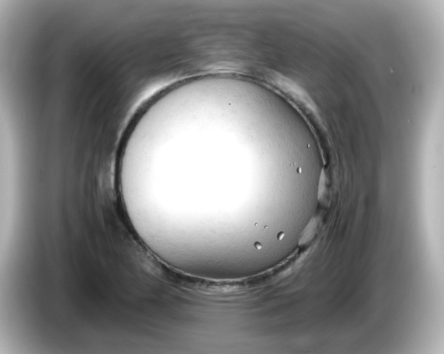 X0000086061174200704091222