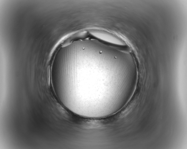 X0000086061175200704091222