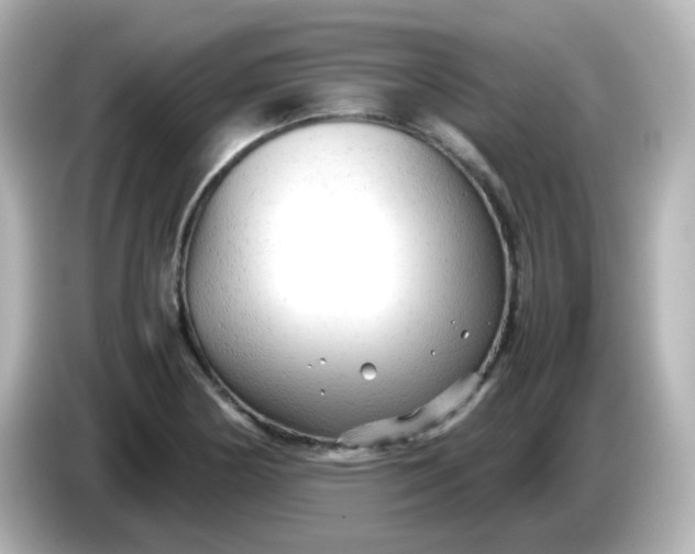 X0000086061178200704091222