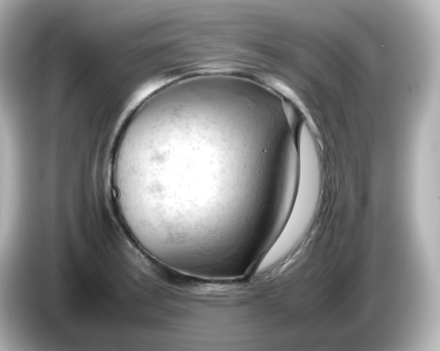 X0000086061179200704091222