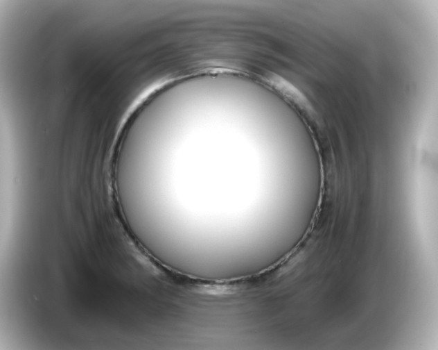 X0000086061182200704091222