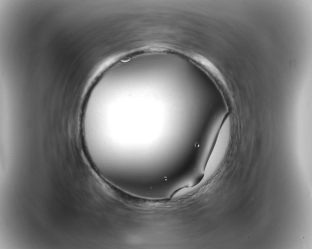 X0000086061183200704091222