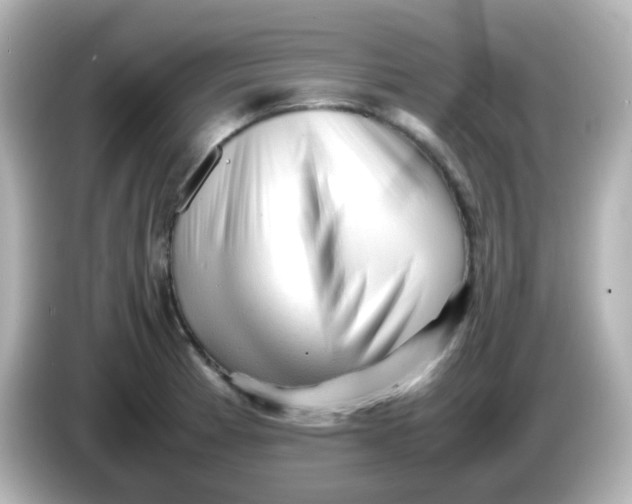 X0000086061185200704091222