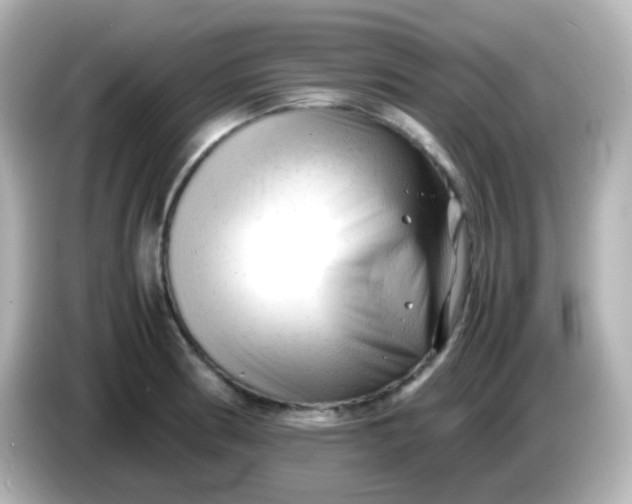 X0000086061186200704091222