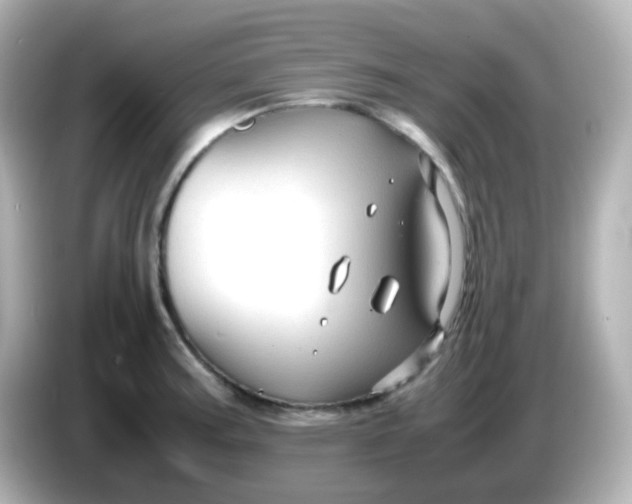 X0000086061187200704091222