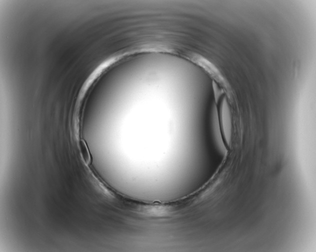 X0000086061188200704091222