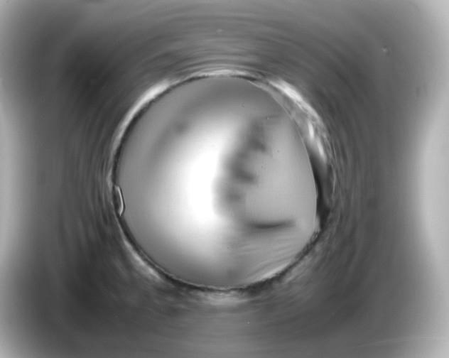 X0000086061189200704091222