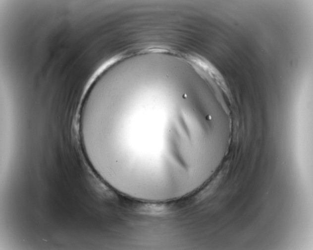 X0000086061190200704091222