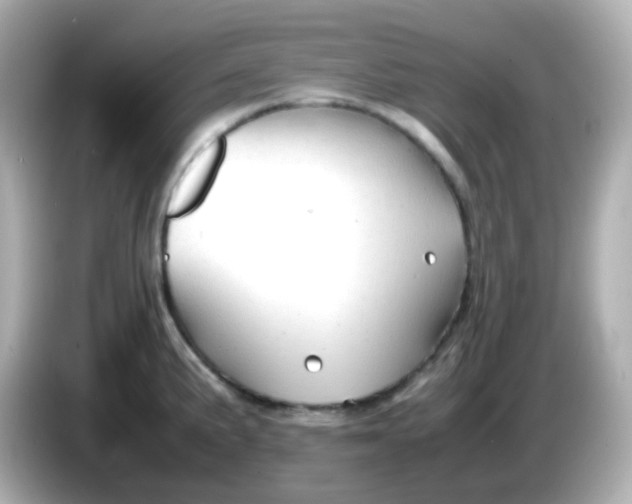 X0000086061191200704091222