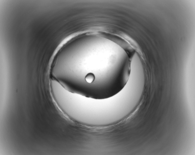 X0000086061192200704091222